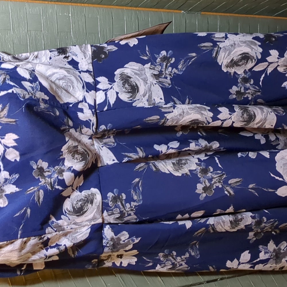 Plus Size Gown - Picture 3 of 7